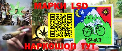СК Кунгур