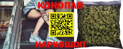 прущие грибы Ливны