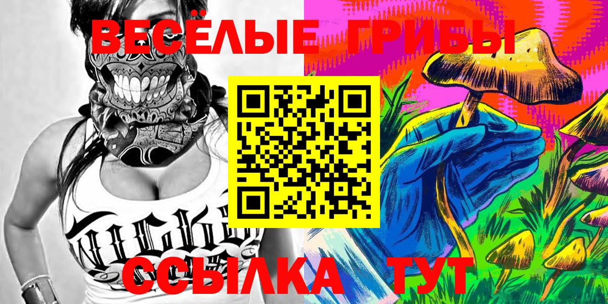 Галлюциногенные грибы мицелий  Галлюциногенные грибы Cubensis  Канаш  Вход с VPN 