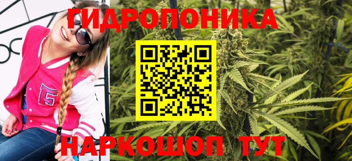 Шишки марихуана Bruce Banner  Вход с VPN  Канаш  Марихуана ГИДРОПОН 